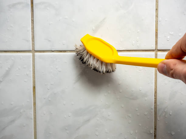 Best Post-Flood Mold Remediation in Blountsville, AL